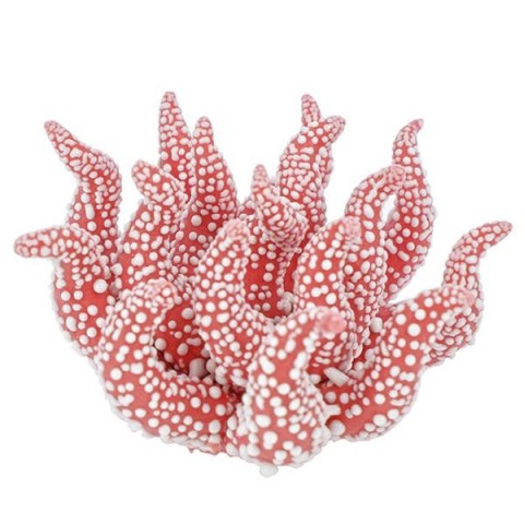 APPLICAZIONE CORALLO ROSSO GOCCE DI RUGIADA PORCELLANA DIAM.4